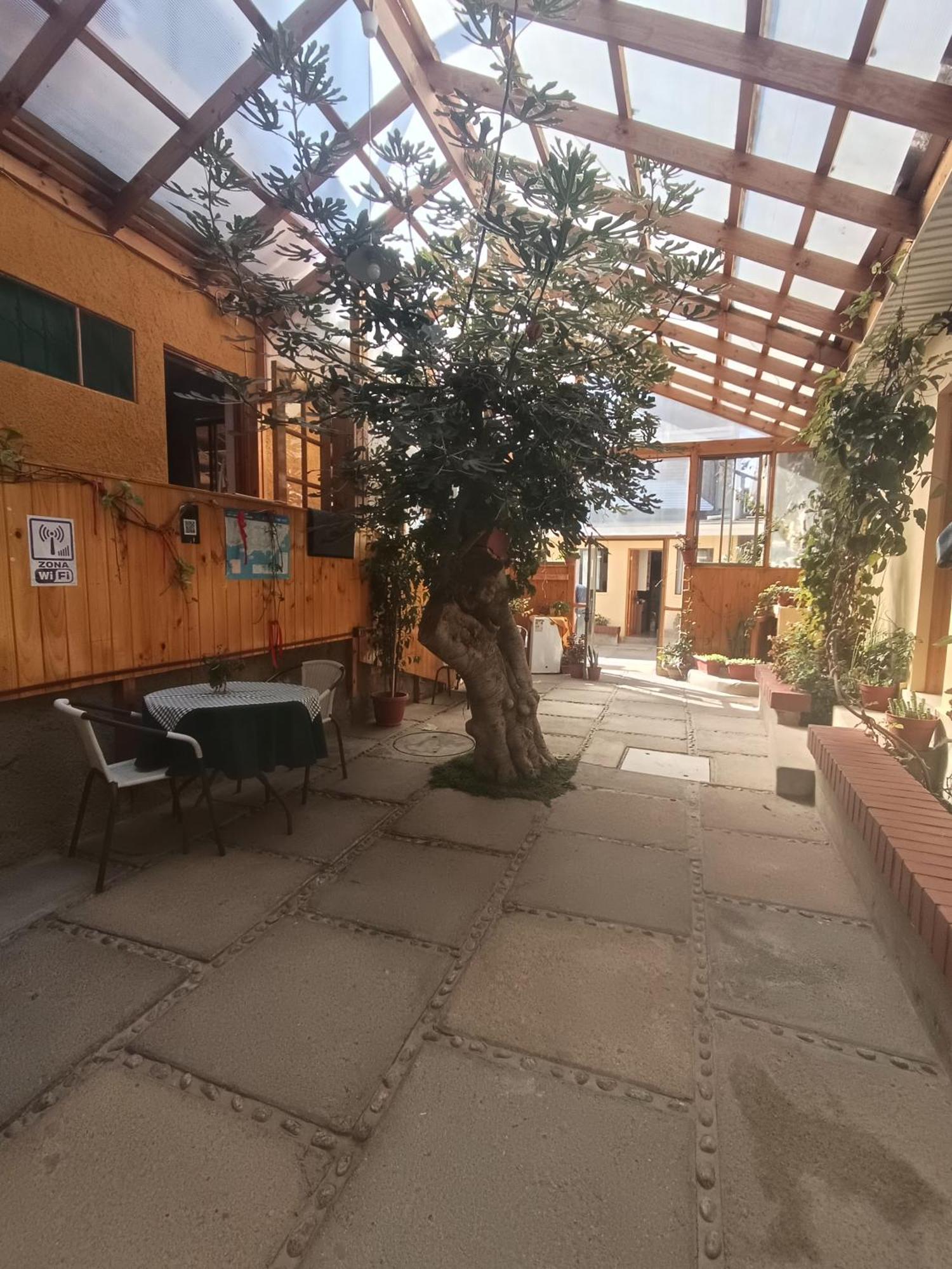 Hostal Julia El Quisco Eksteriør bilde